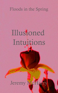 Illusioned Intuitions - Jeremy McHarry - E-Book
