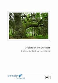 Modul 4: Die Sicht der Bank auf meine Firma - Martina Caspary - E-Book