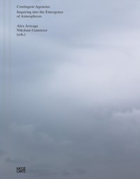 Contingent Agencies -  - kostenlos E-Book