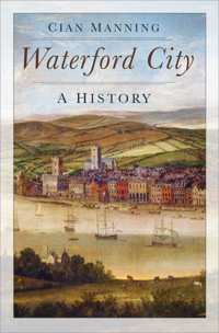 Waterford City - Cian Manning - E-Book