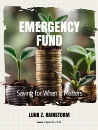 Emergency Fund - Luna Z. Rainstorm - E-Book