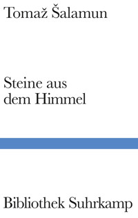 Steine aus dem Himmel - Tomaž Šalamun - E-Book