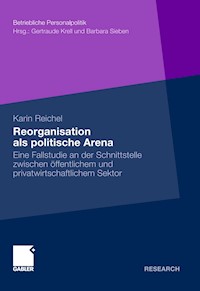 Reorganisation als politische Arena - Karin Reichel - E-Book