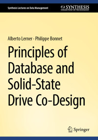 Principles of Database and Solid-State Drive Co-Design - Alberto Lerner - E-Book
