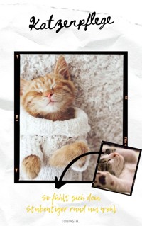 Katzenpflege - so fühlt sich dein Stubentiger rund um wohl - Tobias Hopfmüller - E-Book