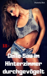 Geile Sau im Hinterzimmer durchgevögelt - Pamela Hot - E-Book