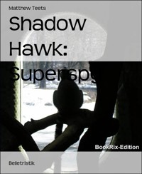 Shadow Hawk: Superspy - Matthew Teets - E-Book