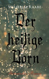 Der heilige Born: Historischer Roman - Wilhelm Raabe - E-Book