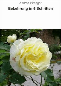 Bekehrung in 6 Schritten - Andrea Pirringer - E-Book