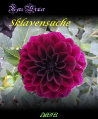 Sklavensuche - Rene Winter - E-Book