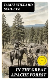 In the Great Apache Forest - James Willard Schultz - E-Book