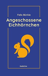 Angeschossene Eichhörnchen - Felix Bürkle - E-Book