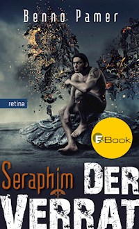 Der Verrat - Benno Pamer - E-Book