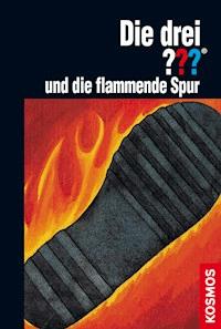 Die drei ??? und die flammende Spur (drei Fragezeichen) - M.V. Carey - E-Book