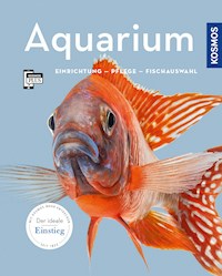 Aquarium - Angela Beck - E-Book