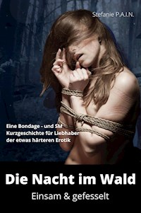 Die Nacht im Wald - P.A.I.N. Stefanie - E-Book