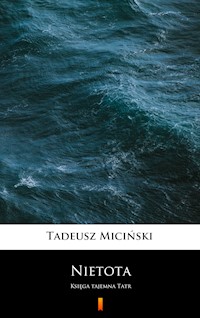 Nietota - Tadeusz Miciński - E-Book