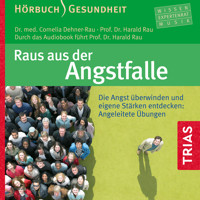 Raus aus der Angstfalle - Cornelia Dehner-Rau - Hörbuch