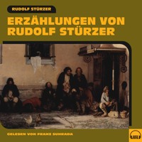 Erzählungen von Rudolf Stürzer - Rudolf Stürzer - Hörbuch