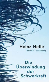 Die Überwindung der Schwerkraft - Heinz Helle - E-Book