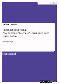 Überblick und Kritik: Psychobiographisches Pflegemodell nach Erwin Böhm - Tobias Zender - E-Book