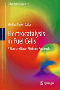 Electrocatalysis in Fuel Cells -  - E-Book