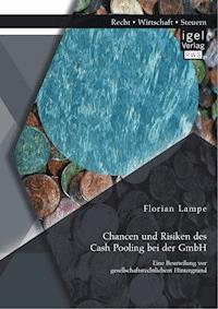 Chancen und Risiken des Cash Pooling bei der GmbH: Eine Beurteilung vor gesellschaftsrechtlichem Hintergrund - Florian Lampe - E-Book