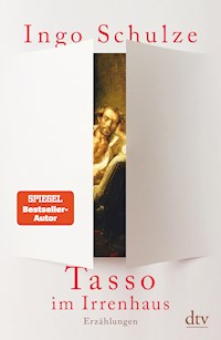 Tasso im Irrenhaus - Ingo Schulze - E-Book