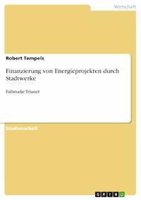 Finanzierung von Energieprojekten durch Stadtwerke - Robert Tempels - E-Book
