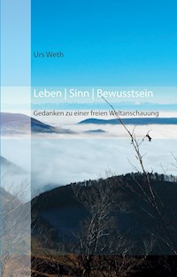 Leben Sinn Bewusstsein - Urs Weth - E-Book