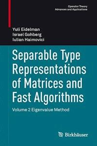 Separable Type Representations of Matrices and Fast Algorithms - Yuli Eidelman - E-Book