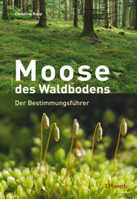 Moose des Waldbodens - Christine Rapp - E-Book