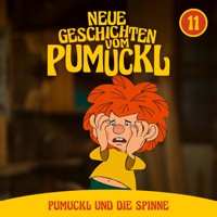 11: Pumuckl und die Spinne (Neue Geschichten vom Pumuckl) - Matthias Pacht - Hörbuch