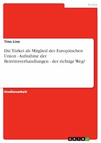 Die Türkei als Mitglied der Europäischen Union - Aufnahme der Beitrittsverhandlungen - der richtige Weg? - Tino Linz - E-Book