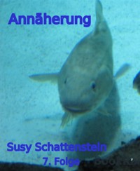Annäherung - Susy Schattenstein - E-Book