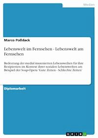 Lebenswelt im Fernsehen - Lebenswelt am Fernsehen - Marco Poßdack - E-Book