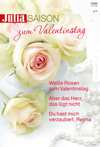 Julia Saison Band 29 - Brenda Harlen - E-Book