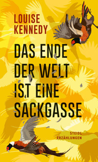Das Ende der Welt ist eine Sackgasse - Louise Kennedy - E-Book