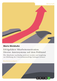 Erfolgsfaktor Mitarbeitermotivation. Diverse Anreizsysteme auf dem Prüfstand - Mario Motzkuhn - E-Book