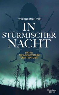 In stürmischer Nacht - Roman Voosen - E-Book
