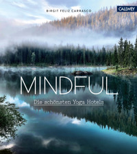 Mindful - Birgit Feliz Carrasco - E-Book