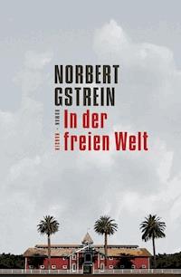 In der freien Welt - Norbert Gstrein - E-Book