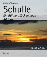 Schulle - Christof Tannert - E-Book