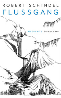 Flussgang - Robert Schindel - E-Book