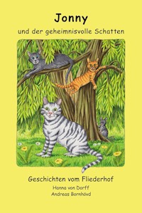Jonny und der geheimnisvolle Schatten - Hanna von Dorff - E-Book