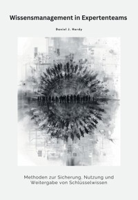 Wissensmanagement in Expertenteams - Daniel J. Hardy - E-Book