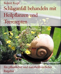 Schlaganfall behandeln mit Heilpflanzen und Teerezepten - Robert Kopf - E-Book