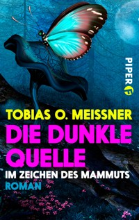 Die dunkle Quelle - Tobias O. Meißner - E-Book