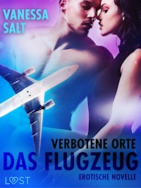 Verbotene Orte: Das Flugzeug - Erotische Novelle - Vanessa Salt - E-Book