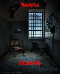 Wake Up Vusi - Boitumelo Phala - E-Book